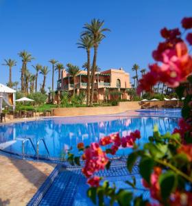 258-marrakech-palmeraie-village---palmeraie-golf-palace