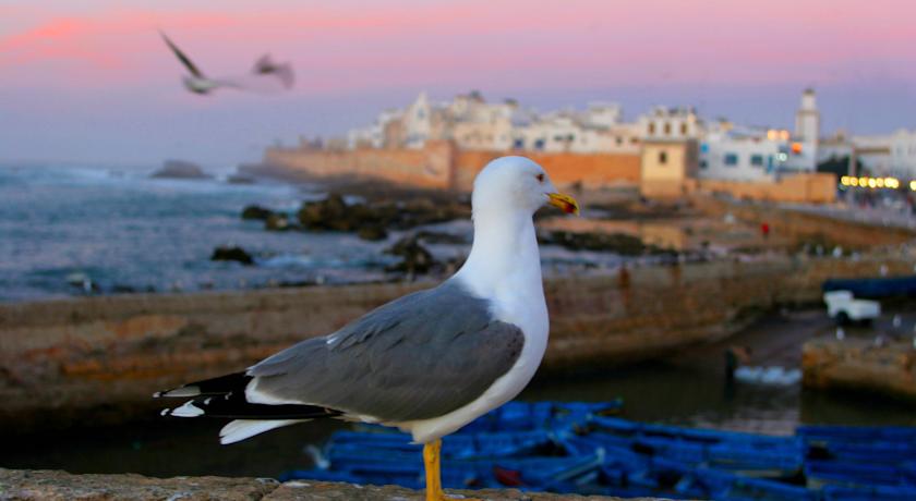 Photo of restaurant of hotel 